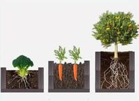 Jardinage familial sur le balcon de toit : potager et bacs de culture pour légumes