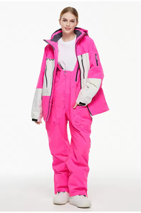 Unisex Beheizter Übergrößen-Skianzug Set Wasserdicht Atmungsaktiv Isoliert mit Reißverschluss Bedrucktes Design für Erwachsene Skiausflüge - Product Image 5