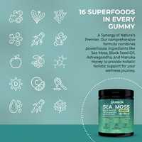 Gummies véganes Halal Pureon 16-en-1 à base d'algues marines pour la réparation articulaire avec racine de bardane, Ashwagandha et huile de nigelle pour adultes