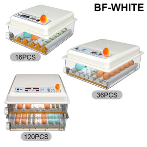 Hộ gia đình tự động kiểm soát nhiệt độ đa chức năng duy nhất điện gia cầm mini nở brooder hộp 16/36/120 trứng - Product Image 6