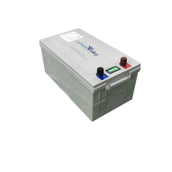 रिचार्जेबल बैटरी लिथियम आयन बैटरी 24V 100Ah LiFePo4 के लिए आर. वी./समुद्री/सौर/गोल्फ गाड़ी/यूपीएस/डेरा डाले हुए कार