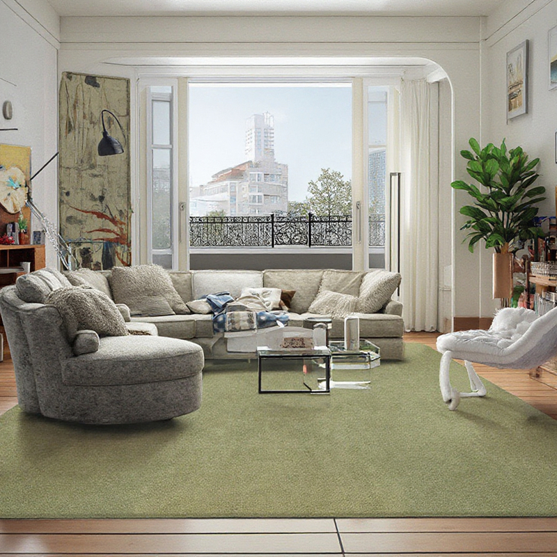 Dsermer Best Carpets for Living Room