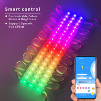 Module LED RGB adressable étanche IP67 DC12V 75x15mm WS2811ic Pixel pour enseignes lumineuses extérieures