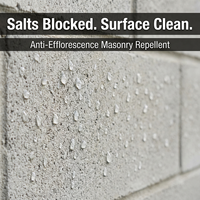 Revêtement anti-efflorescence pour maçonnerie, à pénétration profonde, hydrofuge à base d'eau, barrière contre le sel pour les murs