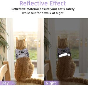 맞춤형 메쉬 고양이 하네스 리드줄 조절 가능한 애완동물 사랑스러운 고양이 하네스 리드줄 소형 중형 애완동물용 - Product Image 5
