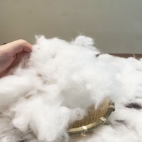 Fournisseur : Microfibre de polyester à faible densité, fibre chimique, garnissage en poly