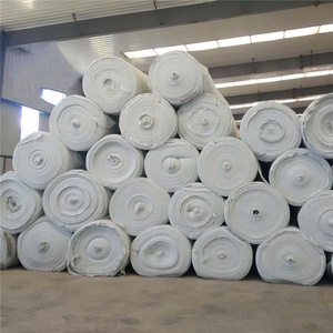 Produits imperméables de cheval de tissu non-tissé de géotextile de polyester de longue fibre - Product Image 1