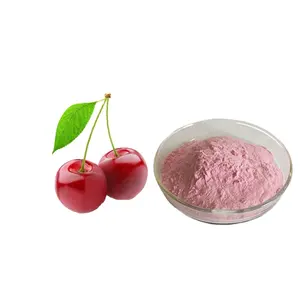 100% مسحوق فاكهة طبيعي ونقي acerola مسحوق مستخلص الكرز مسحوق الكرز