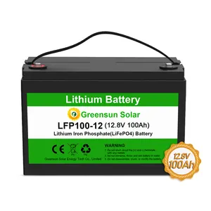 Greensun LiFePO4 lithium battery 18650 12v 100ah 200ah 300ah 12.8Volts solar batteries for camping car