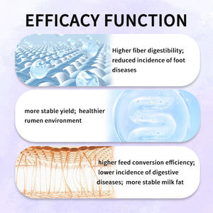 Compuesto de rumiantes Premix Feed <span class=keywords><strong>Antiácido</strong></span> para engorde Ganado Ovejas Aditivos para piensos Vitamina C - Product Image 5