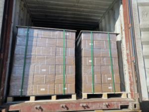 Fornitore di Strisce Idroespansive in Bentonite per Giunti di Costruzione in Calcestruzzo - Product Image 6