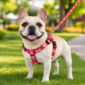 Harnais pour chien personnalisé avec logo, réglable et rembourré, deux anneaux en D métalliques, boucle à dégagement rapide, vente en gros OEM ODM - Product Image 5