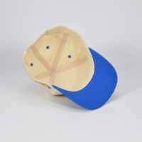 Bulk zomer waterdichte terry sportieve outdoor casual comfortabele ademende katoenen klassieke tweekleurige fruit baseball pet voor golf