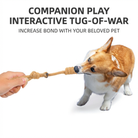 Jouets à mâcher interactifs en corde de coton pour nettoyer les dents des chiens, avec un design simple pour les petits chiens