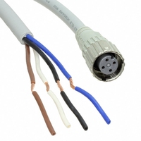 XS5F-D421-C80-F M12 Câble de connexion à 4 pôles Faisceau de câblage d'automatisation industrielle de 1m avec extrémité non terminée
