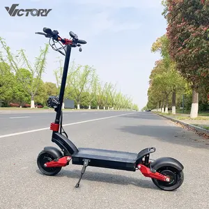 Eu warehouse Big Led Light 11-inch Off Road 2000W Engine 48V 20Ah Battery Two wheel High end electric scooter