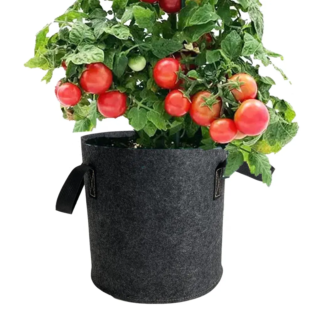 1gallon 2gallon 3gallon 5gallon 7gallon 10gallon 15gallon 20gallon 25gallon 30gallon farm non-woven fabric felt grow pot bags