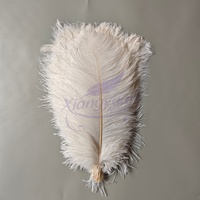 Plumes d'autruche blanches teintées en gros, 40-45 cm (16-18 po), pour fêtes, carnavals, artisanat DIY, décoration de vêtements de scène