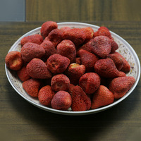 Groothandel Trendy Gefreeze-droogde Aardbeienballetjes Gehele Gedroogde Fruit FD Chips Perfecte Snack voor Bakken Yoghurt; Linyi Shandong