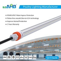 Lampe LED professionnelle pour l'élevage de poulets, lumière avicole IP67, tubes T8 dimmables avec garantie de 5 ans