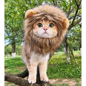 Premium stile classico leone criniera parrucca regolabile lavabile per il Costume di gatto di Halloween comodo pelo di leone vestiti di gatto vestito - Product Image 2