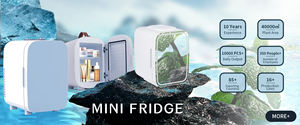 Mini réfrigérateur 15 litres à usage domestique, réfrigérateur cosmétique portable pour le stockage, double refroidissement, personnalisation acceptée, ventes d'usine - Product Image 6