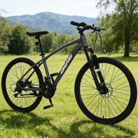 Vélo de montagne VTT 26 pouces avec cadre en alliage, 7 vitesses, pour adultes, fabriqué en usine (OEM), à vendre