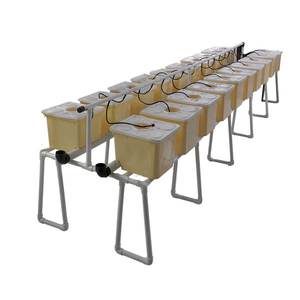 Seau néerlandais à vendre culture hydroponique pour l'agriculture - Product Image 4