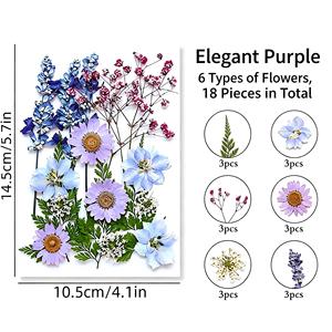 ชุดดอกไม้และใบไม้แห้งสีแดงธรรมชาติสำหรับงาน DIY เรซิ่น ทำเครื่องประดับ ตกแต่งบ้าน งานแต่งงาน - Product Image 5