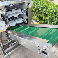 Hoog rendement automatische kokosnoot-ontdoppingsmachine Industrieel fruit- en groenteschillen Duurzaam ontwerp Lange levensduur 750w