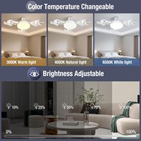Nouveau modèle 2025 Mini ventilateur avec lumière LED, douille E27 à trois axes, ventilateurs de plafond rétractables pour chambre et cuisine, télécommande, lampe ABS