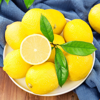 Poudre de jus de citron naturel en vrac, soluble dans l'eau, pour la vente en gros