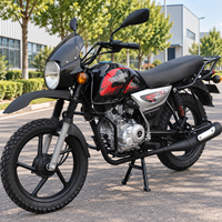 Boxer-Style 124,6cc Benzin-Motorrad Luftgekühlt 95km/h Geschwindigkeit 12,8L Tank für Langzeit-Einsatz zu Hause