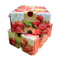 Boîte en carton ondulé personnalisée pour aliments et fruits chauds avec doublure en éponge pour l'emballage de cerises Boîte en papier d'impression en relief