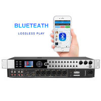 Procesador de Efectos Crossover y Ecualizador de Audio Profesional con Sonido Perfecto
