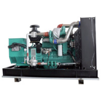 Generador eléctrico de carbón 10kW-500kW planta de energía