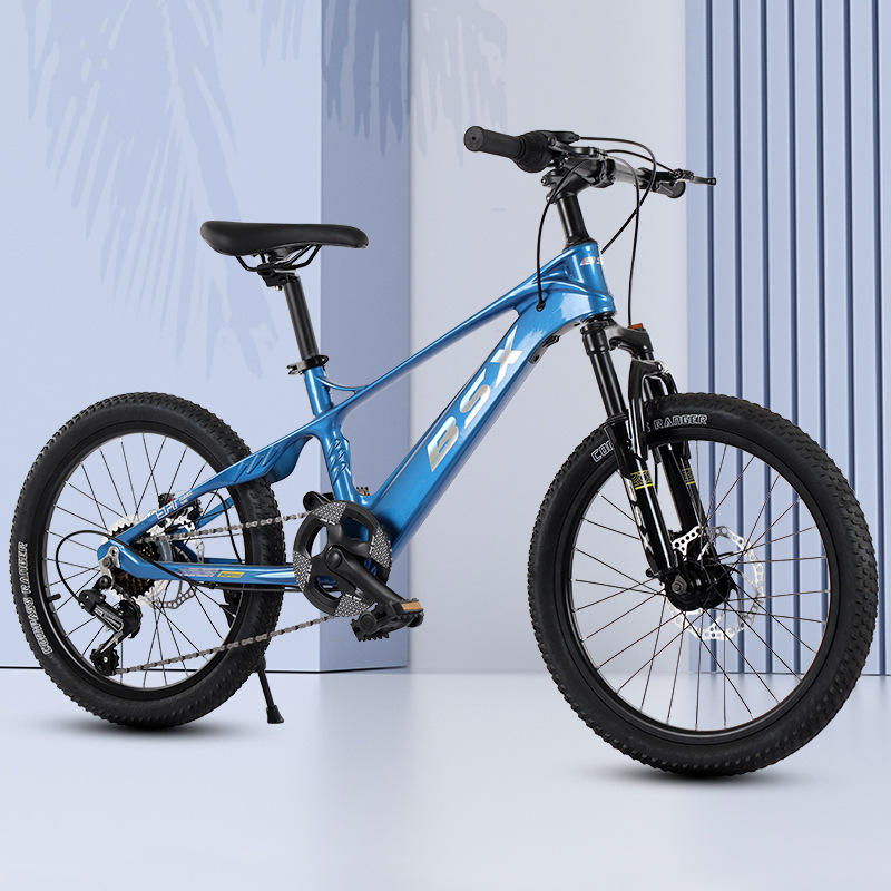 ล้อซี่ลวดสีฟ้าสวยงาม (Shimano 7 สปีด)