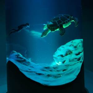 Hot Bán Handmade Epoxy Nhựa Gỗ Ánh Sáng Ban Đêm Biển Sâu Diver LED Thay Đổi Độ Sáng Có Thể Điều Chỉnh Nhiệt Độ Màu Máy Tính Để Bàn Trang Trí Đèn - Product Image 4