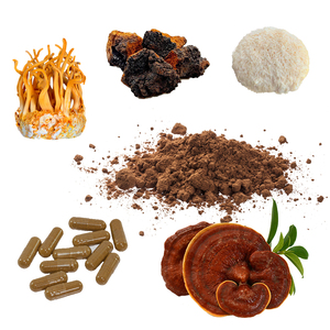 Ganoherb ผงกาแฟธรรมชาติ100เปอร์เซ็นต์, ผงกาแฟเกรดพรีเมี่ยมออร์แกนิคออร์แกนิก - Product Image 2