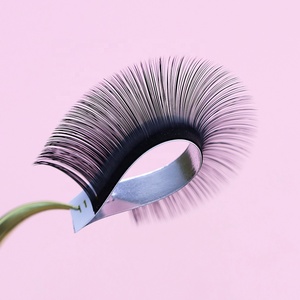 Logo privé Blooming Lash <span class=keywords><strong>Beauty</strong></span> Supplies Volume Lash Trays Matt Natural Black Easy Fanning Volume Extensions de <span class=keywords><strong>cils</strong></span> Faux <span class=keywords><strong>Cils</strong></span> - Product Image 3