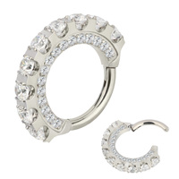 Usine En Gros Clickers Nez Anneau Boucle D'oreille G23 Titane À Charnière Segment Anneau Bijoux Pour Hommes et Femmes