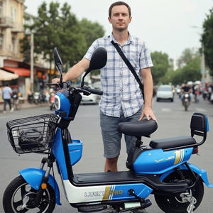 <span class=keywords><strong>Vélo</strong></span> de ville <span class=keywords><strong>électrique</strong></span> Holladay 350W 48V <span class=keywords><strong>vélo</strong></span> hybride avec porte-bagages avant gros pneu cyclomoteur <span class=keywords><strong>électrique</strong></span> scooter <span class=keywords><strong>électrique</strong></span> <span class=keywords><strong>2</strong></span> <span class=keywords><strong>places</strong></span> - Product Image 2