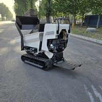 Mini-dumper tout-terrain pour travaux de jardinage, d'aménagement paysager, de vergers et d'agriculture, certifié Euro 5 et EPA
