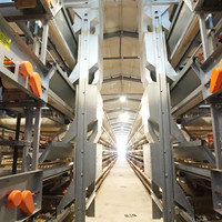 Cages personnalisées pour animaux d'élevage de volailles Poules d'élevage Cage de ponte Équipement Couche d'œufs