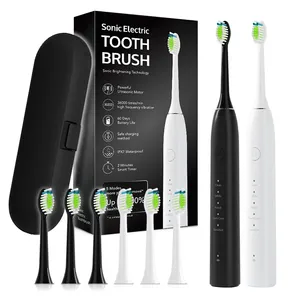 Travel High Rpm Shaft Motor Usb Rechargeable Ultrasonic Electric Toothbrush