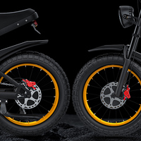 Bicicleta eléctrica con pantalla LCD de motor sin escobillas de 48V y 500W para playa y nieve motocicleta eléctrica todoterreno