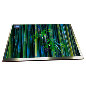 Pantalla LCD transmisiva negra normal SFT de 10.1 pulgadas, 1280(RGB)*800 WXGA, 149PPI, modelo TM101JDHG33, de gran venta para uso industrial - Product Image 2