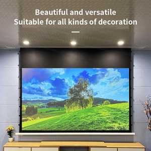 [Caché] Écran de plafond encastré de 120 ''ALR Écran de projecteur électrique <span class=keywords><strong>motorisé</strong></span> ALR à contraste élevé en cristal PET haut de gamme - Product Image 2