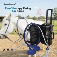 Appareil PEMF pour chevaux, dispositif de thérapie magnétique équine Xwing Double Beats, thérapie par champ électromagnétique pulsé pour la récupération sportive