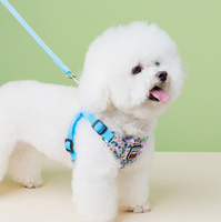 Harnais pour chien en maille super respirante le plus populaire, anti-traction, pour l'extérieur, en néoprène réfléchissant, petit harnais pour chiens avec laisse, collier et porte-sac à déjections